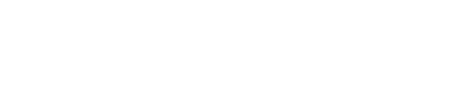 African Sunshine Safaris